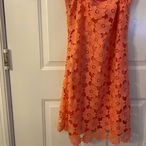 Petal & Pup Pink Floral Mini Dress - Picture 11 of 13